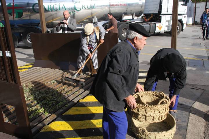 Madridejos EVOO Visit Experience