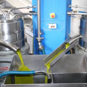 Madridejos EVOO Visit Experience