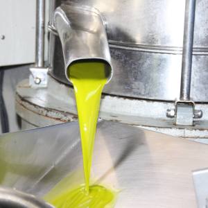 Madridejos EVOO Visit Experience