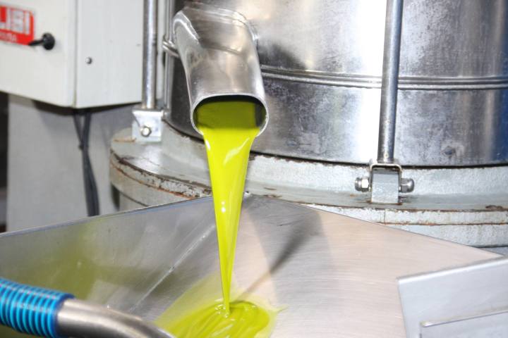 Madridejos EVOO Visit Experience