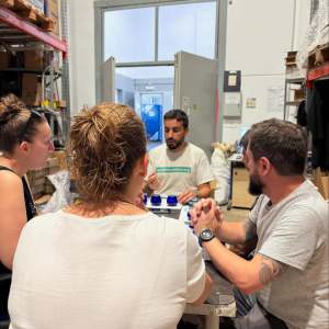 Aragon Olive Oil Visit & Tasting Experience