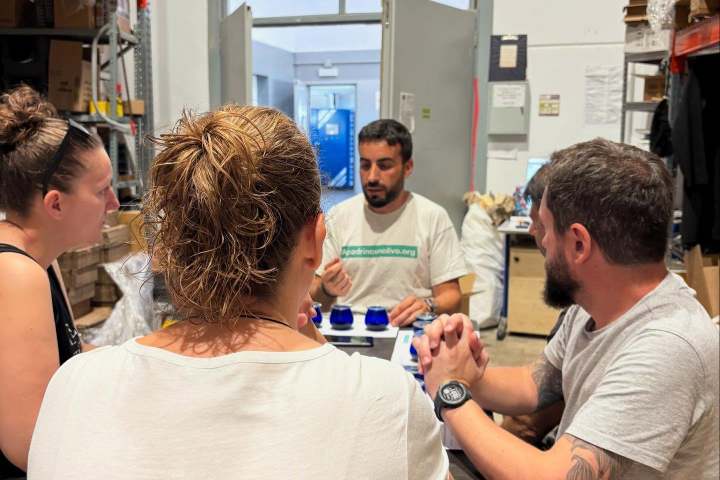 Aragon Olive Oil Visit & Tasting Experience