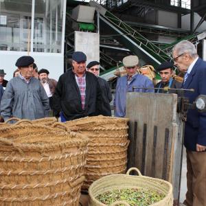 Madridejos EVOO Visit Experience