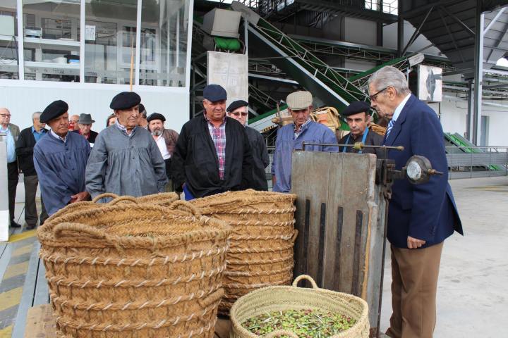 Madridejos EVOO Visit Experience