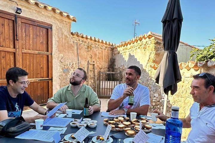 Aragon Olive Oil Visit & Tasting Experience