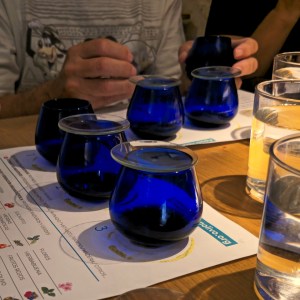 Aragon Olive Oil Visit & Tasting Experience