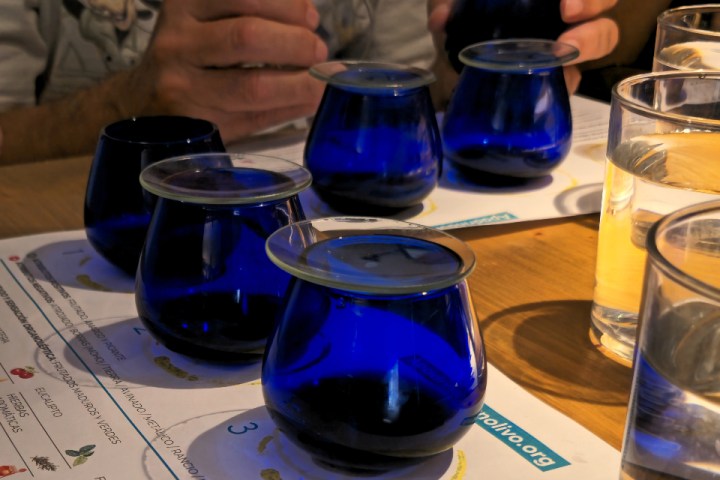 Aragon Olive Oil Visit & Tasting Experience