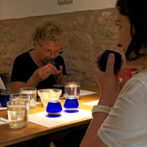 Aragon Olive Oil Visit & Tasting Experience