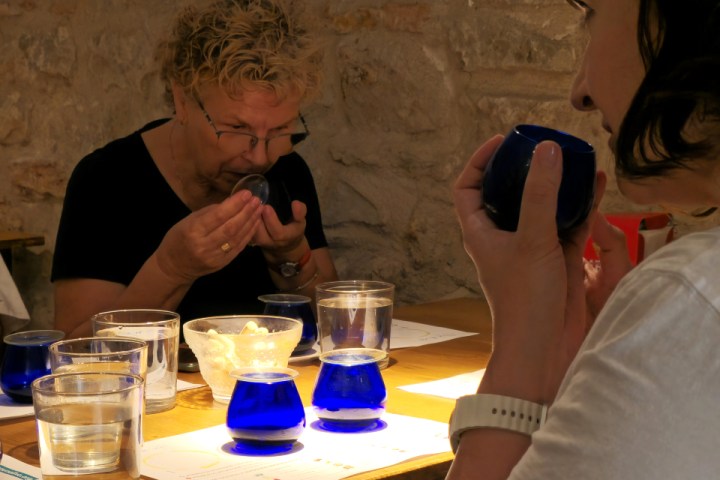 Aragon Olive Oil Visit & Tasting Experience