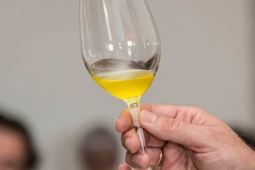 Mallorca Visit & Tasting Experience