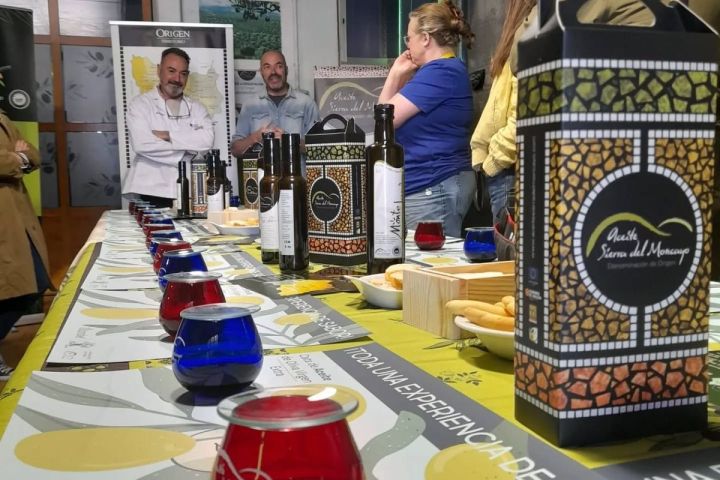 Aragon Olive Oil Tasting Experience