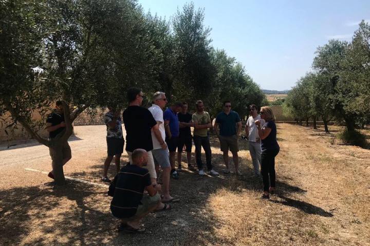 Mallorca Visit & Tasting Experience