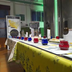 Aragon Olive Oil Tasting Experience