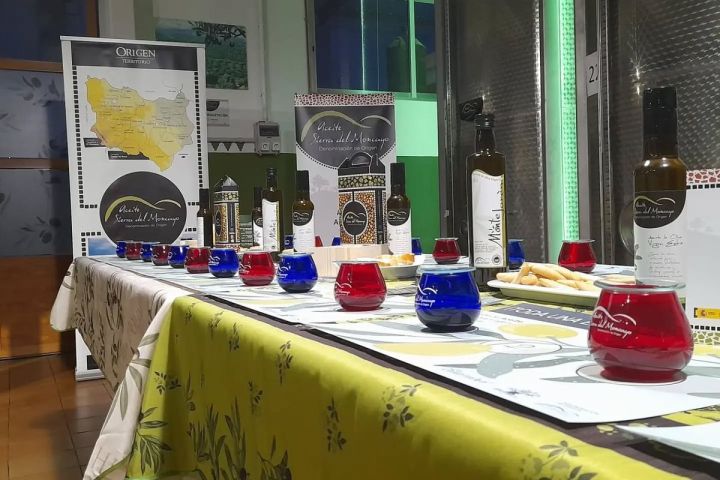Aragon Olive Oil Tasting Experience
