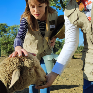 Extremadura A Day On The Farm Experience