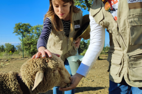 Extremadura A Day On The Farm Experience