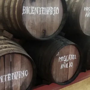 Malaga Organic Wine Tour Experience