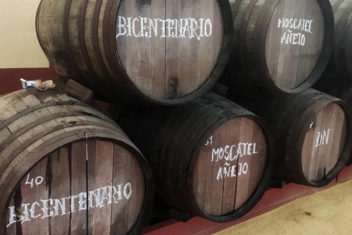 Malaga Organic Wine Tour Experience