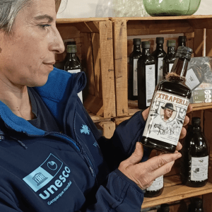 Extremadura Paths of the Olive Tree Experience