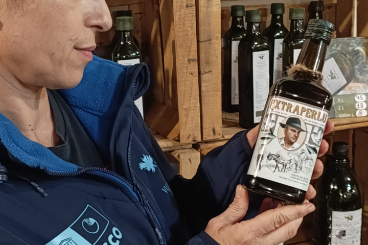 Extremadura Paths of the Olive Tree Experience