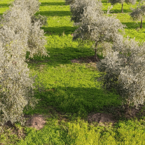 Extremadura A Day On The Farm Experience