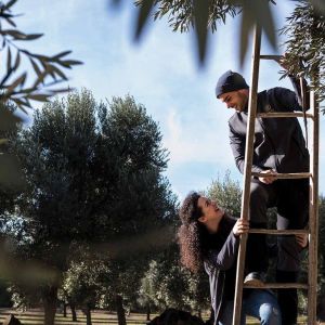 Aragon Matarranya Olive Oil Tasting Experience