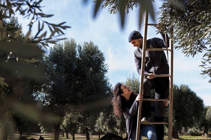 Aragon Matarranya Olive Oil Tasting Experience