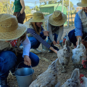 Extremadura A Day On The Farm Experience