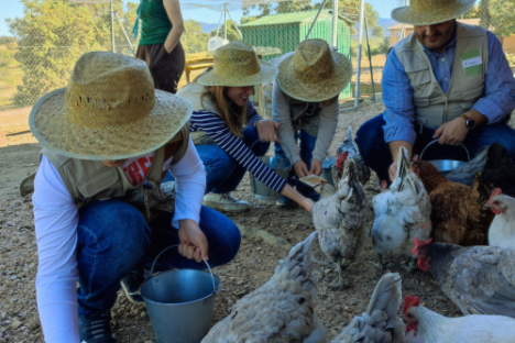 Extremadura A Day On The Farm Experience