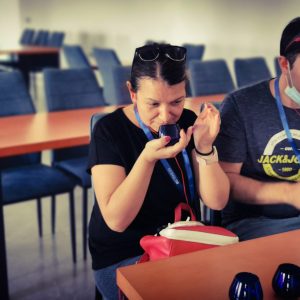 Jaén Olive Oil Guided Tour Experience