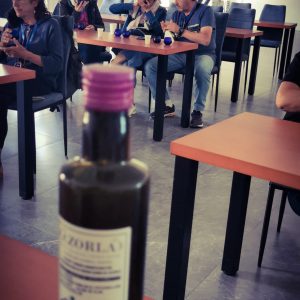 Jaén Olive Oil Guided Tour Experience