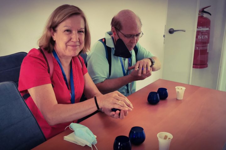 Jaén Olive Oil Guided Tour Experience