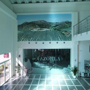 Jaén Olive Oil Guided Tour Experience