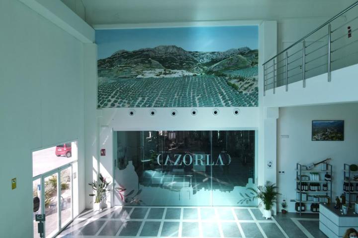 Jaén Olive Oil Guided Tour Experience