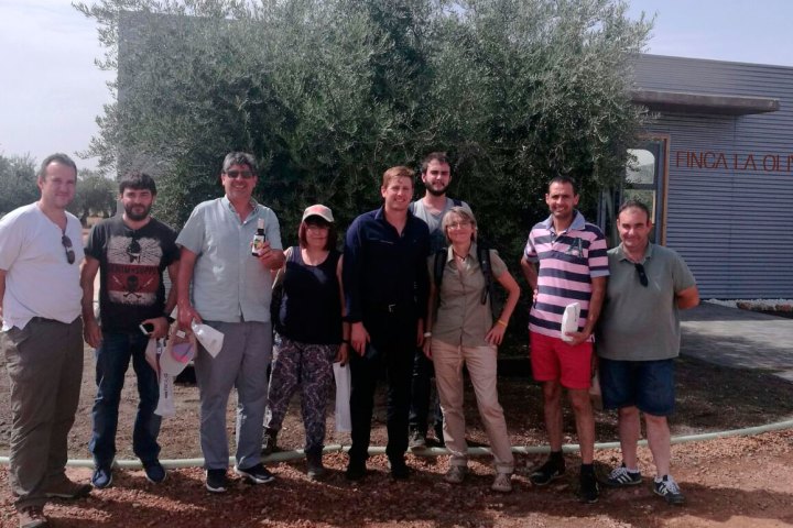Ciudad Real Olive Oil Tour & Tasting Experience