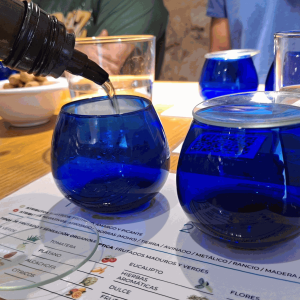 Aragon Olive Oil Visit & Tasting Experience