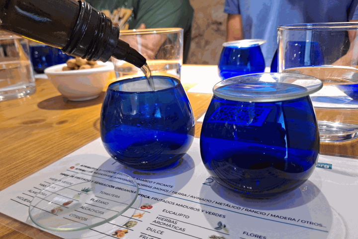 Aragon Olive Oil Visit & Tasting Experience