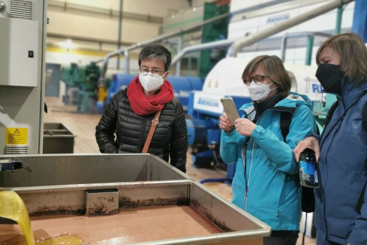 Jaén Olive Oil Guided Tour Experience