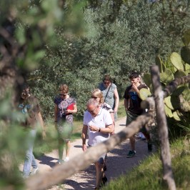 Florence Olive Mill Tour