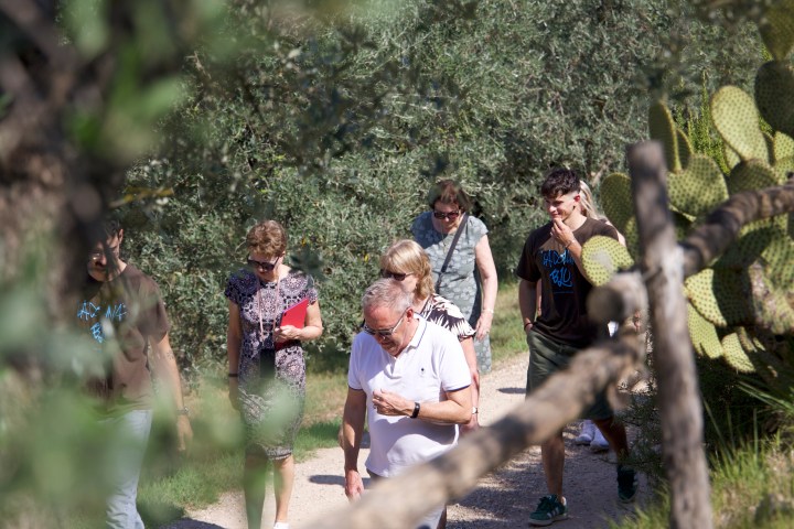 Florence Olive Mill Tour