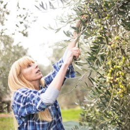 Florence Olive Mill Tour