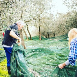 Florence Olive Mill Tour