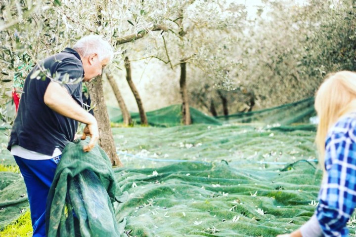 Florence Olive Mill Tour