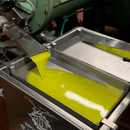 Florence Olive Mill Tour