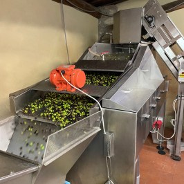 Florence Olive Mill Tour