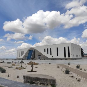 Jaén Olive Oil Guided Tour Experience