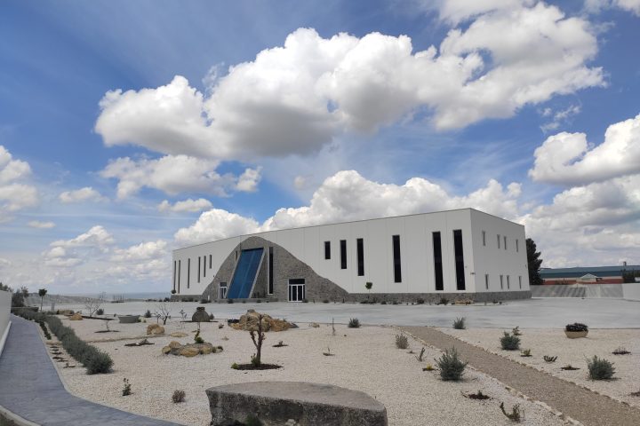 Jaén Olive Oil Guided Tour Experience