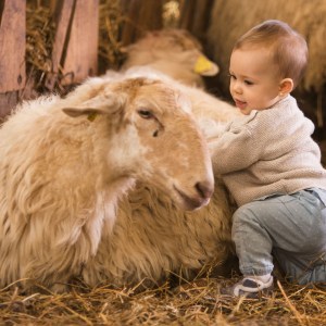 Basque Shepherd For a Day Experience