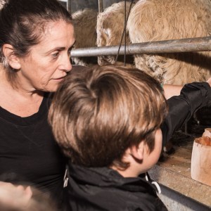 Basque Shepherd For a Day Experience