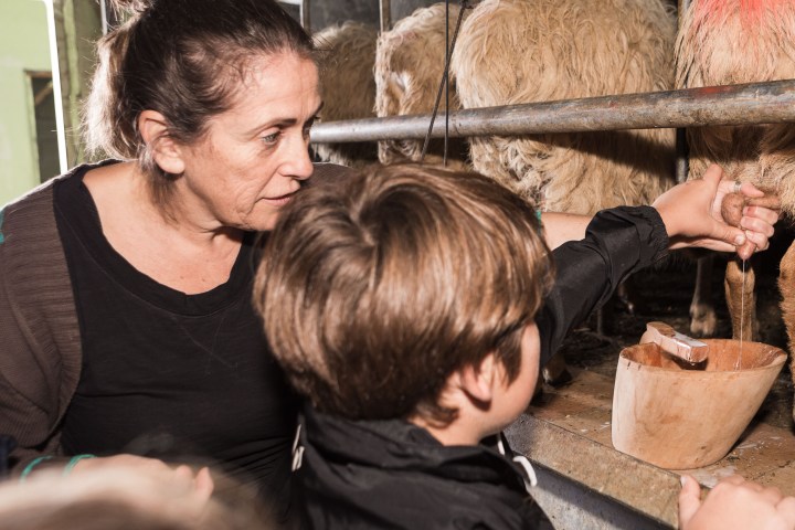 Basque Shepherd For a Day Experience